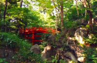 japon (28).jpg